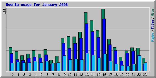 Hourly usage for January 2008