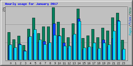 Hourly usage for January 2017