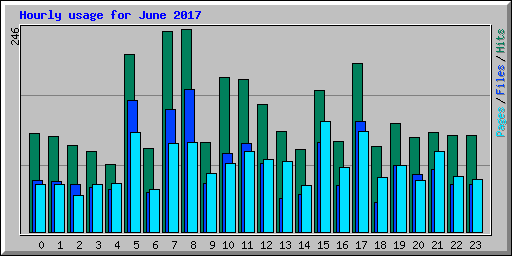 Hourly usage for June 2017